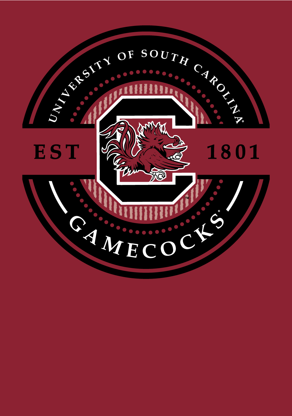 Gamecocks Seersucker Circle T-Shirt – Garnet