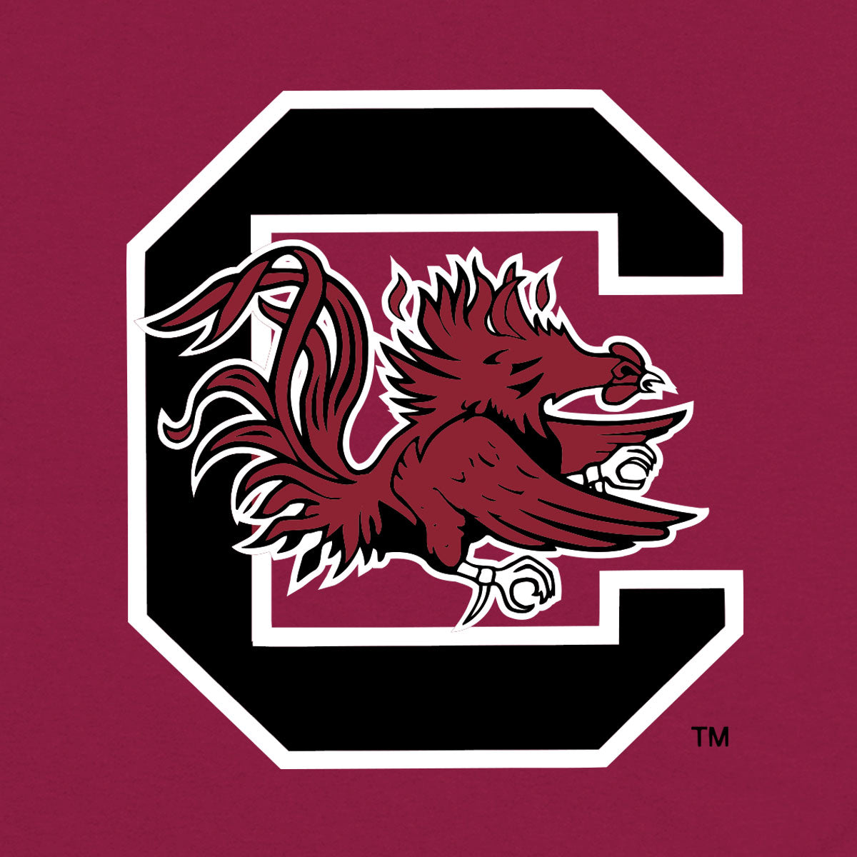 Saturday in South Carolina T-Shirt – Garnet