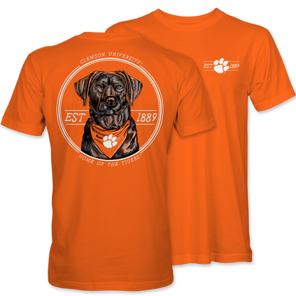 Tigers Bandana Lab T-Shirt – Orange