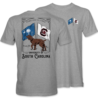 Gamecock Boykin with Flags T-Shirt – Sport Grey