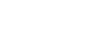 Carolina Gamecocks Stadium Tee – White