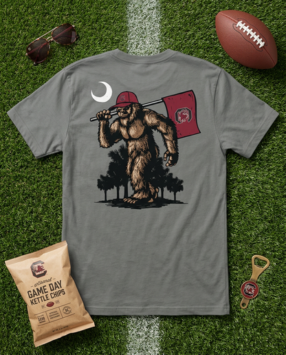 Gamecocks Yeti T-Shirt – Smoke